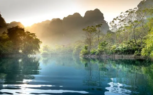 绿色可靠性高端